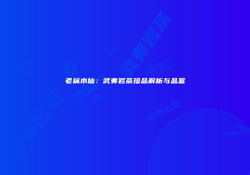 老枞水仙：武夷岩茶珍品解析与品鉴