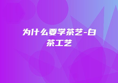 为什么要学茶艺-白茶工艺