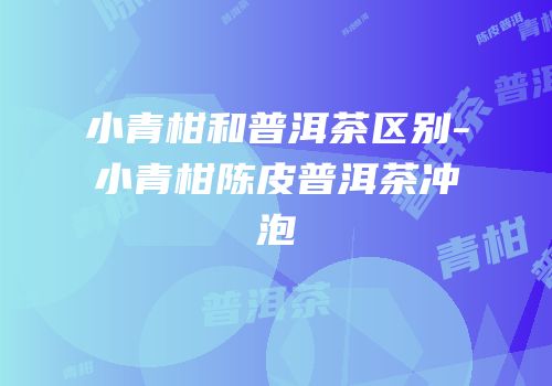 小青柑和普洱茶区别-小青柑陈皮普洱茶冲泡