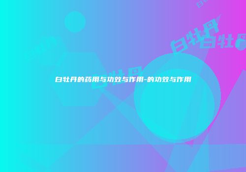 白牡丹的药用与功效与作用-的功效与作用