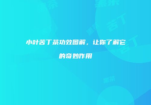 小叶苦丁茶功效图解，让你了解它的奇妙作用