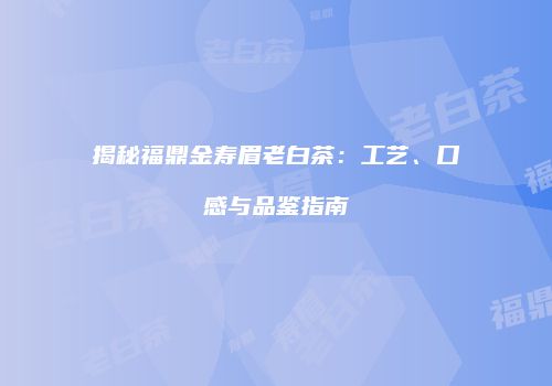 揭秘福鼎金寿眉老白茶：工艺、口感与品鉴指南