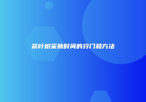 茶叶树采摘时间的窍门和方法