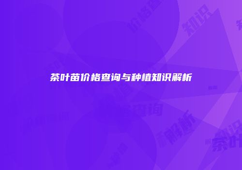 茶叶苗价格查询与种植知识解析