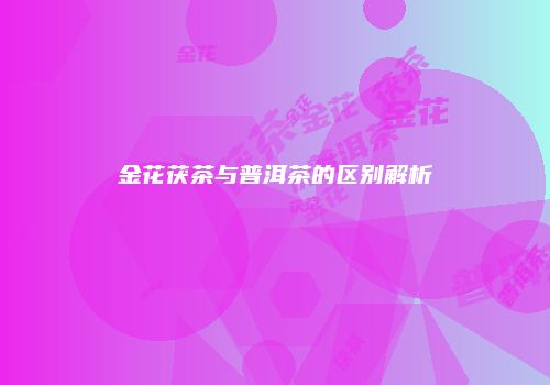 金花茯茶与普洱茶的区别解析