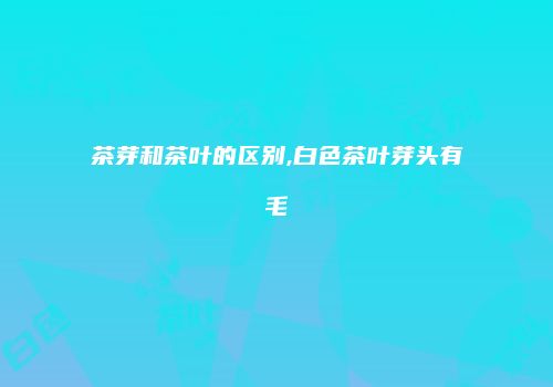 茶芽和茶叶的区别,白色茶叶芽头有毛