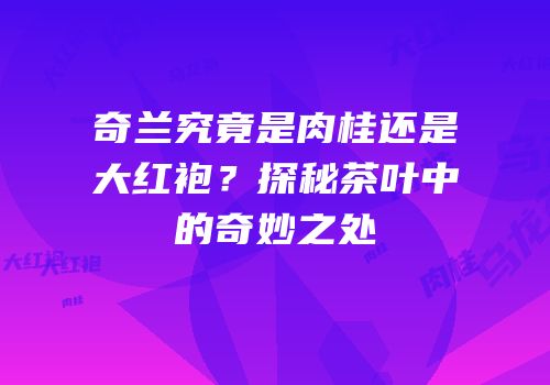奇兰究竟是肉桂还是大红袍？探秘茶叶中的奇妙之处