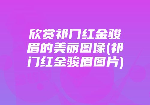 欣赏祁门红金骏眉的美丽图像(祁门红金骏眉图片)