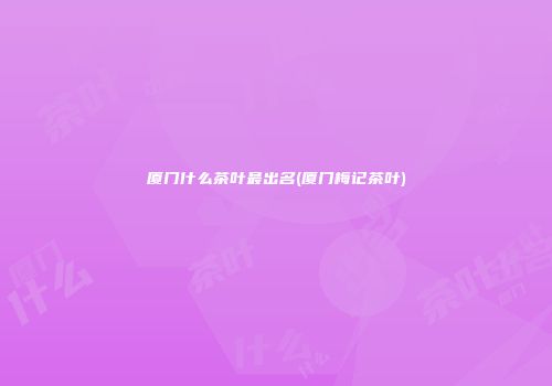 厦门什么茶叶最出名(厦门梅记茶叶)