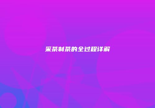 采茶制茶的全过程详解