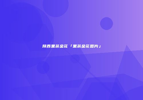 陕西黑茶金花「黑茶金花图片」