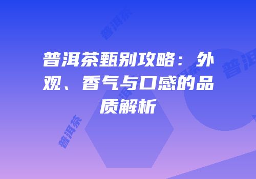 普洱茶甄别攻略：外观、香气与口感的品质解析