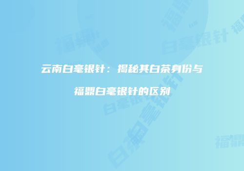 云南白毫银针：揭秘其白茶身份与福鼎白毫银针的区别