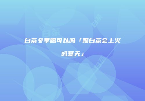 白茶冬季喝可以吗「喝白茶会上火吗夏天」