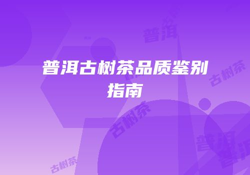 普洱古树茶品质鉴别指南