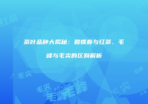 茶叶品种大揭秘：碧螺春与红茶、毛峰与毛尖的区别解析
