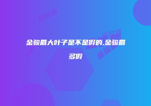 金骏眉大叶子是不是假的,金骏眉多假