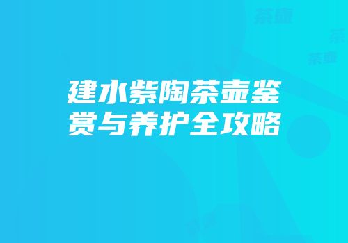 建水紫陶茶壶鉴赏与养护全攻略