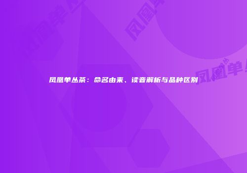 凤凰单丛茶：命名由来、读音解析与品种区别