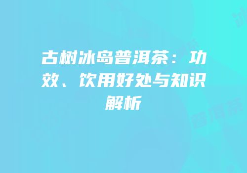 古树冰岛普洱茶：功效、饮用好处与知识解析