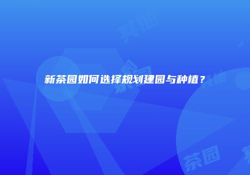 新茶园如何选择规划建园与种植？