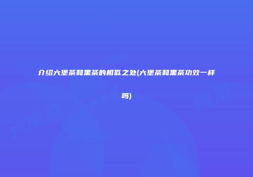 介绍六堡茶和黑茶的相似之处(六堡茶和黑茶功效一样吗)