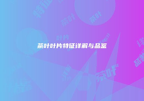 茶叶叶片特征详解与品鉴