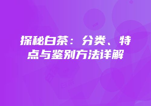 探秘白茶：分类、特点与鉴别方法详解