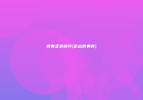 武夷正韵茶叶(正山武夷杯)