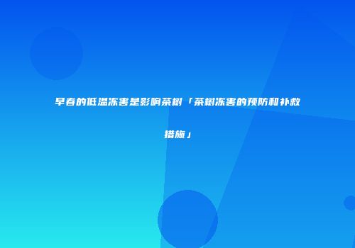 早春的低温冻害是影响茶树「茶树冻害的预防和补救措施」