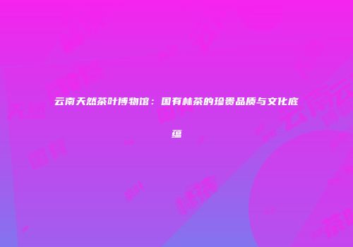 云南天然茶叶博物馆：国有林茶的珍贵品质与文化底蕴