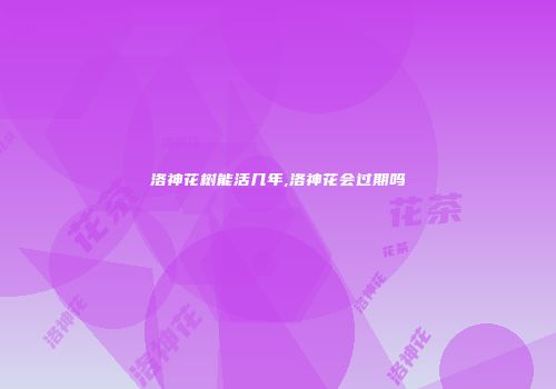 洛神花树能活几年,洛神花会过期吗