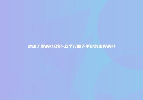 快速了解茶叶知识-五个方面下手辨别出好茶叶