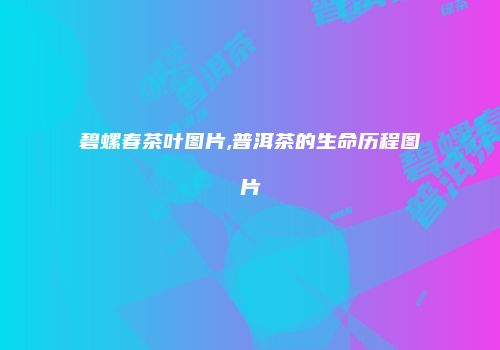 碧螺春茶叶图片,普洱茶的生命历程图片