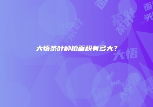 大悟茶叶种植面积有多大？