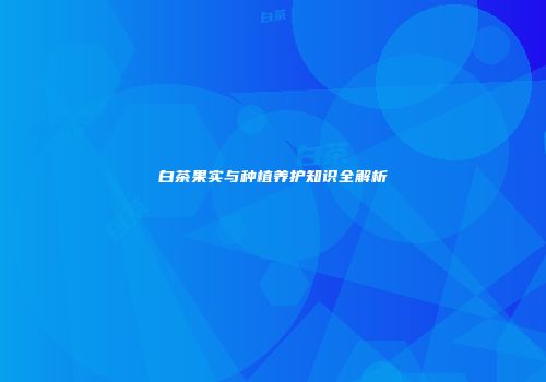 白茶果实与种植养护知识全解析