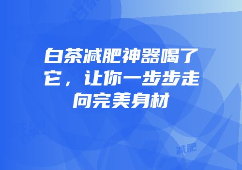 白茶减肥神器喝了它，让你一步步走向完美身材