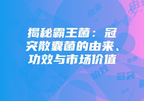 揭秘霸王菌：冠突散囊菌的由来、功效与市场价值
