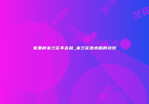 家里种米兰花不吉利_米兰花泡水喝的功效