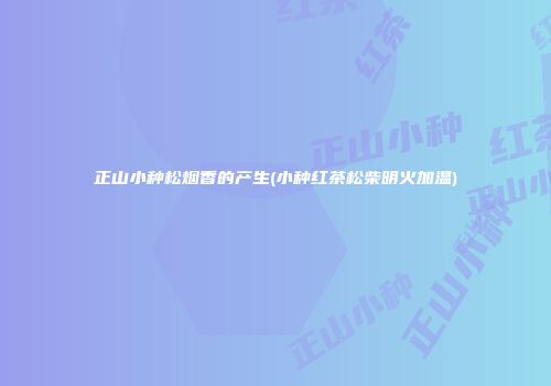 正山小种松烟香的产生(小种红茶松柴明火加温)