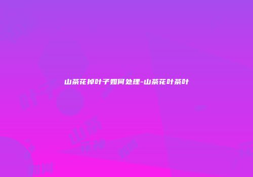 山茶花掉叶子如何处理-山茶花叶茶叶