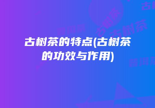 古树茶的特点(古树茶的功效与作用)