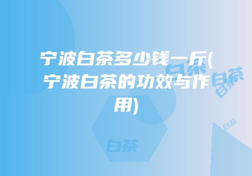 宁波白茶多少钱一斤(宁波白茶的功效与作用)