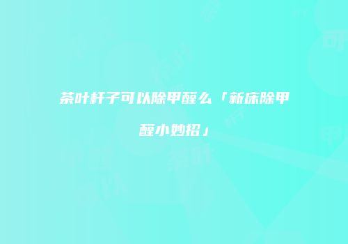 茶叶杆子可以除甲醛么「新床除甲醛小妙招」