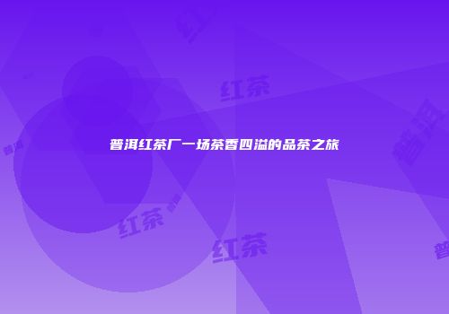普洱红茶厂一场茶香四溢的品茶之旅