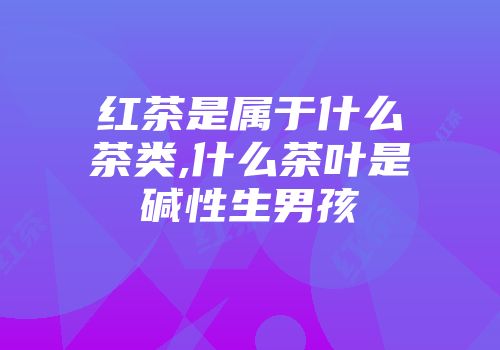 红茶是属于什么茶类,什么茶叶是碱性生男孩