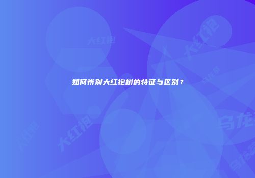 如何辨别大红袍树的特征与区别？