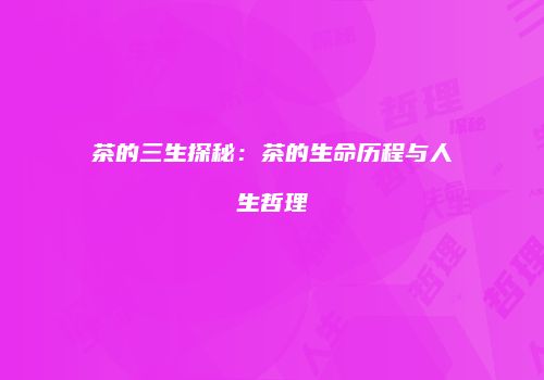茶的三生探秘：茶的生命历程与人生哲理