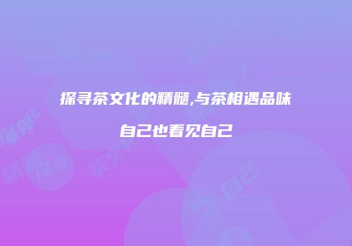 探寻茶文化的精髓,与茶相遇品味自己也看见自己
