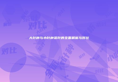 大叶种与小叶种茶叶的全面解析与对比